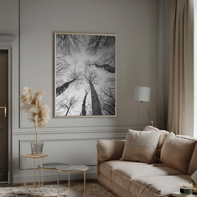 Reaching Branches Poster