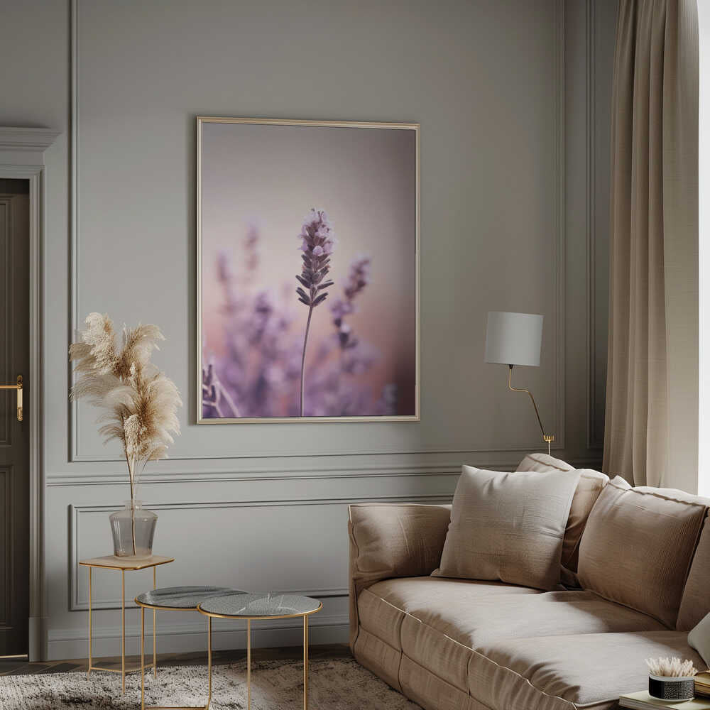 Lavender Serenity Poster