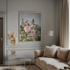 Garden Roses Poster