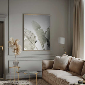 Banana leaf 1 Poster