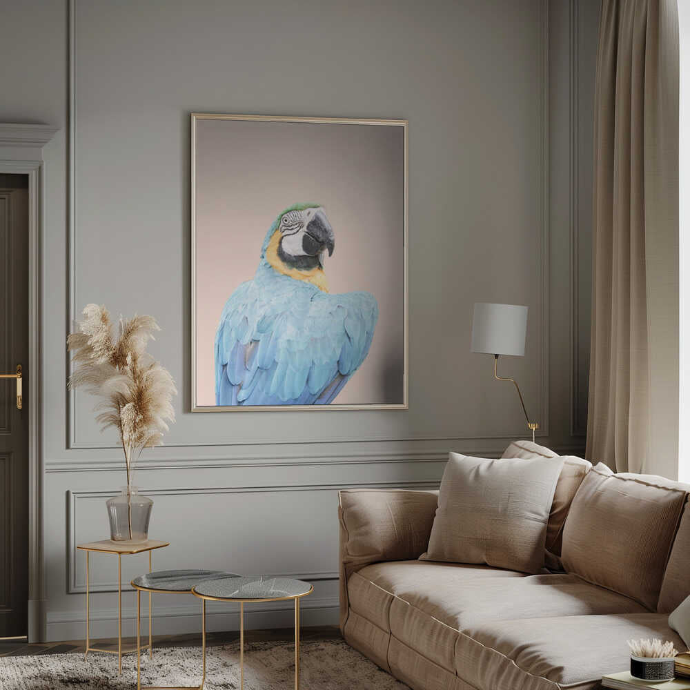 Blue Macaw Poster