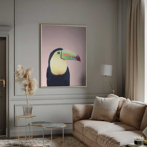 Toucan on Pink Poster