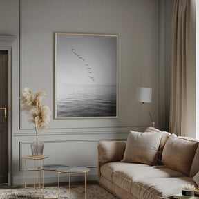 Flying Birds Poster