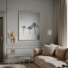 Palms Poster