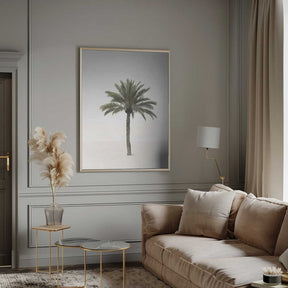 Palm Poster
