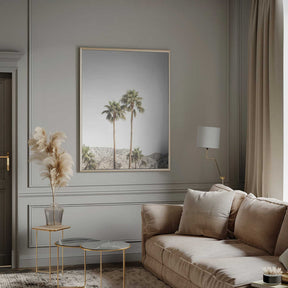Palm Springs Palms Poster