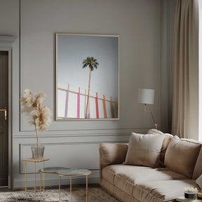 Palm Spring Colors 2 Poster
