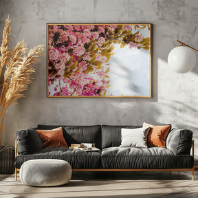 Blossom In Pink Poster