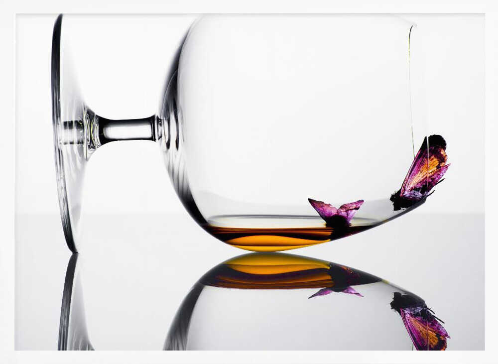 DRUNKEN BUTTERFLIES Poster