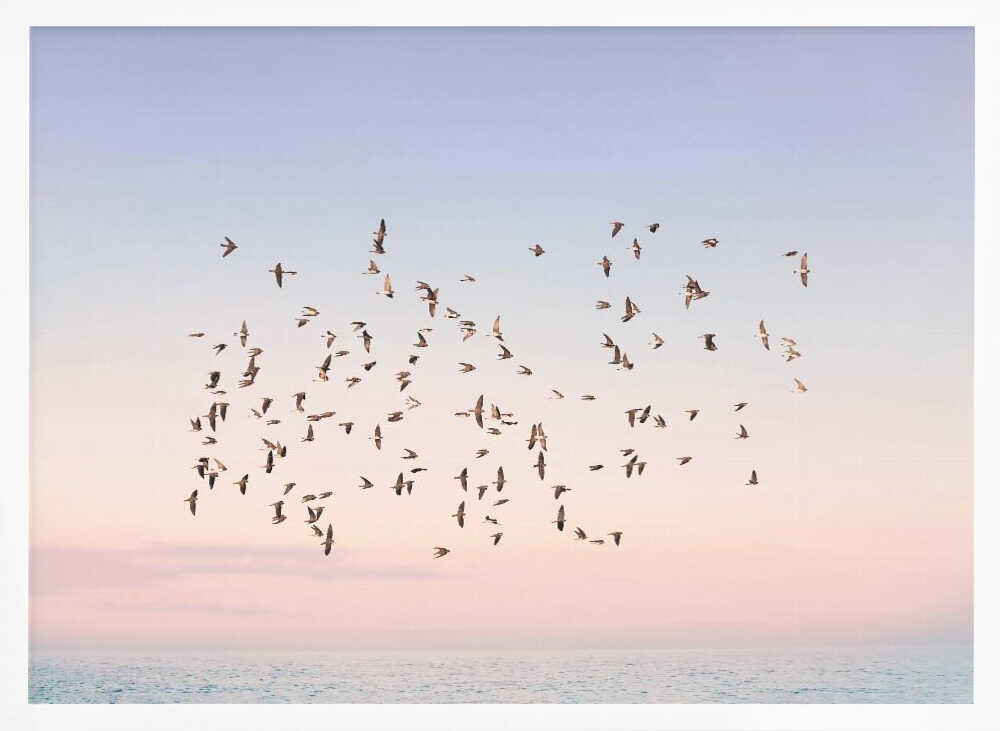 Sunset Flight Poster