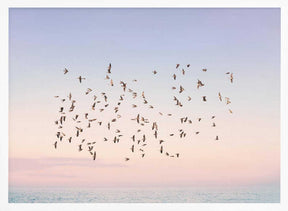 Sunset Flight Poster