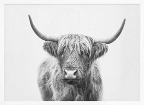 Highland Bull Poster