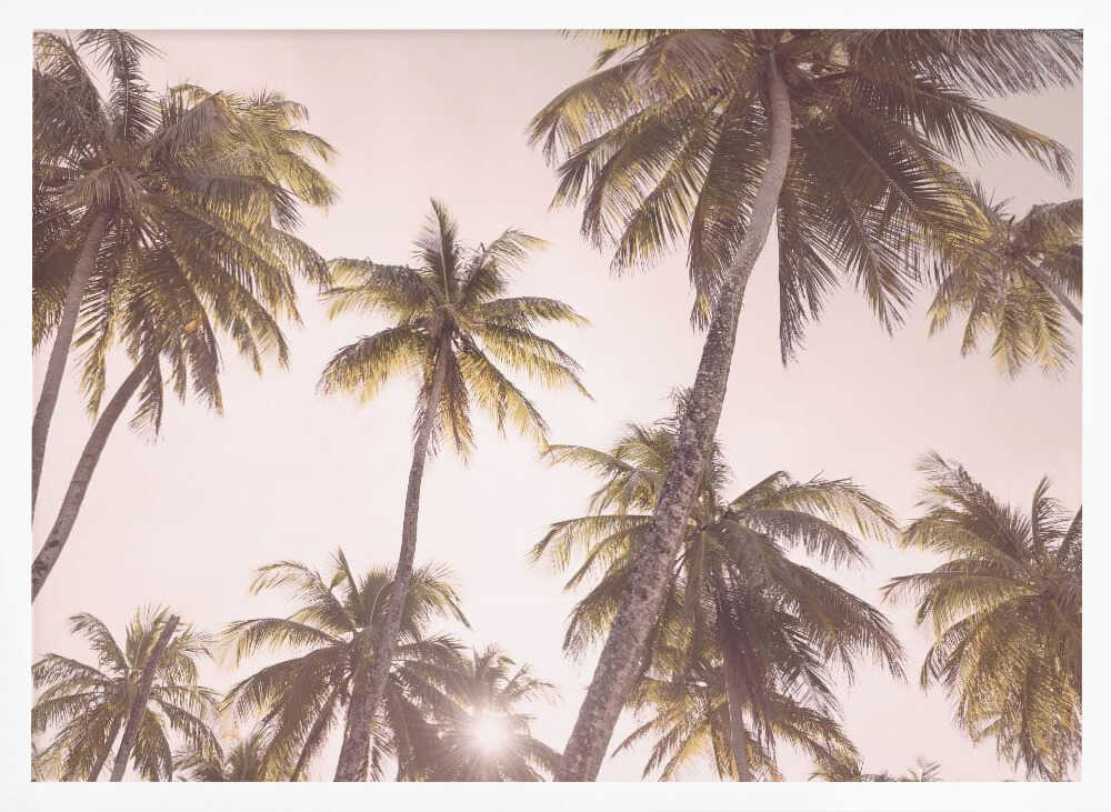Blush Palm Trees Poster