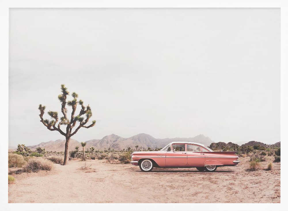 In the desert Poster