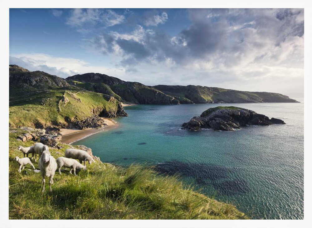 Irish Coast Poster