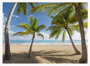 Palmy Beach II Poster
