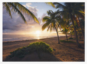 Good Morning Paradise Poster