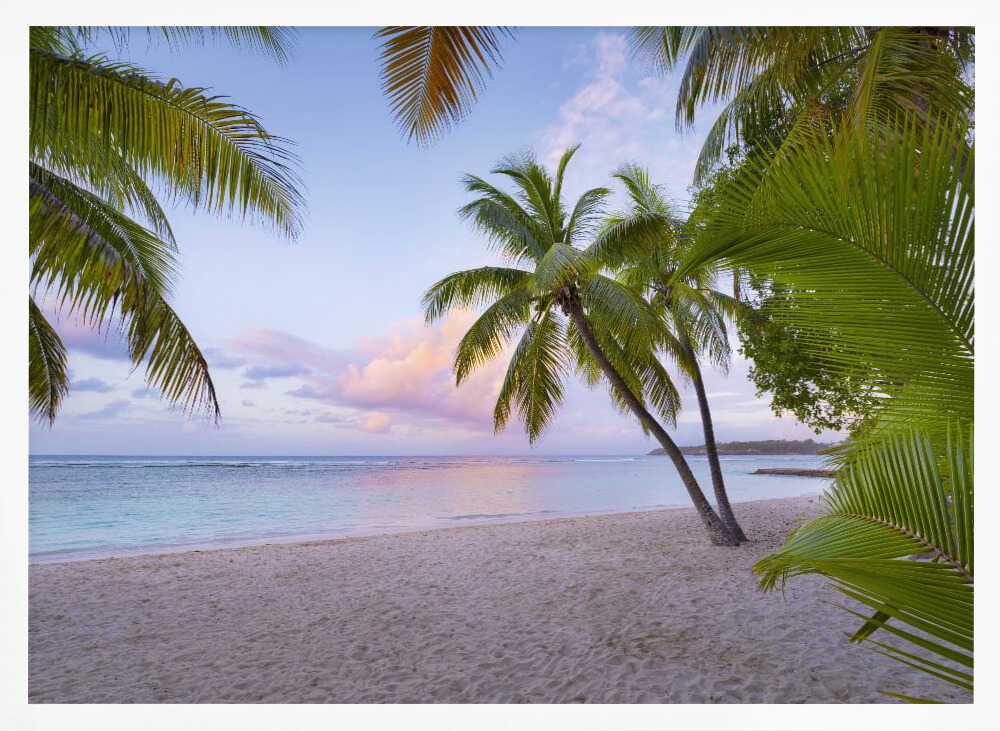 Tropical Beach Poster