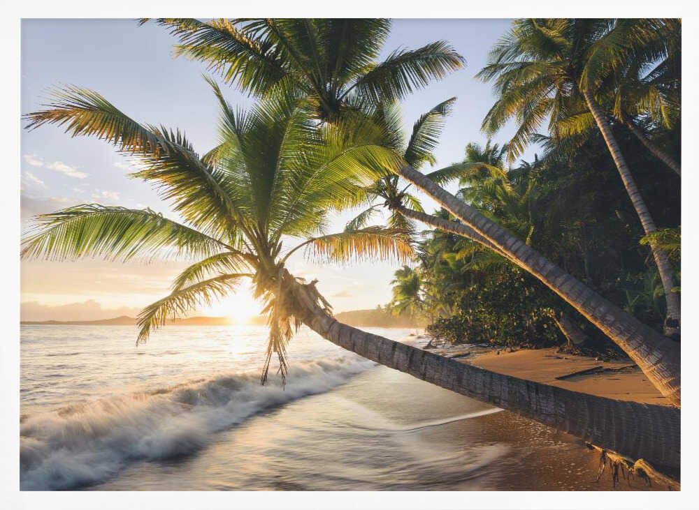 Paradise Shore Poster