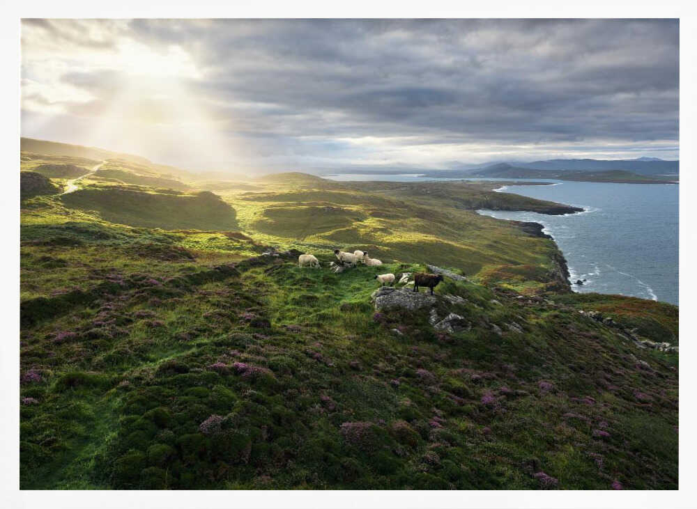Good Morning Ireland Poster