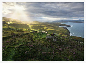 Good Morning Ireland Poster