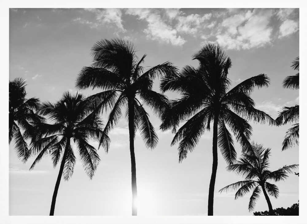 Hawaiian Palms II Poster