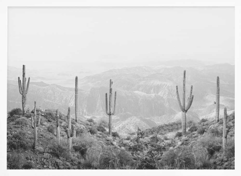 Western Cactus Poster