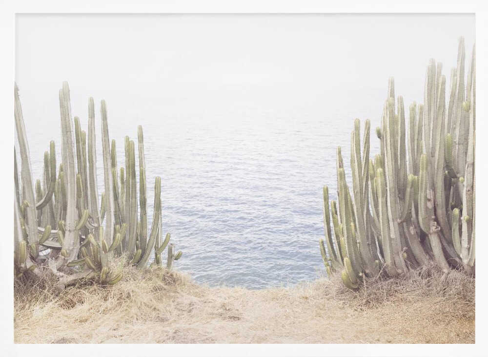 Ocean Cactus Poster
