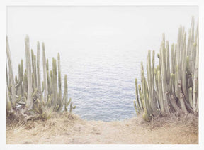 Ocean Cactus Poster