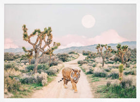 Wandering Tiger Poster
