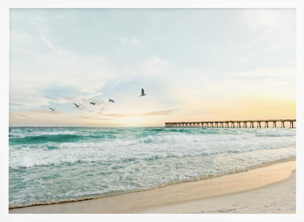 Birds At Pier Poster