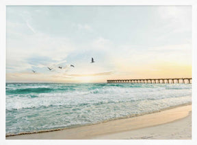 Birds At Pier Poster