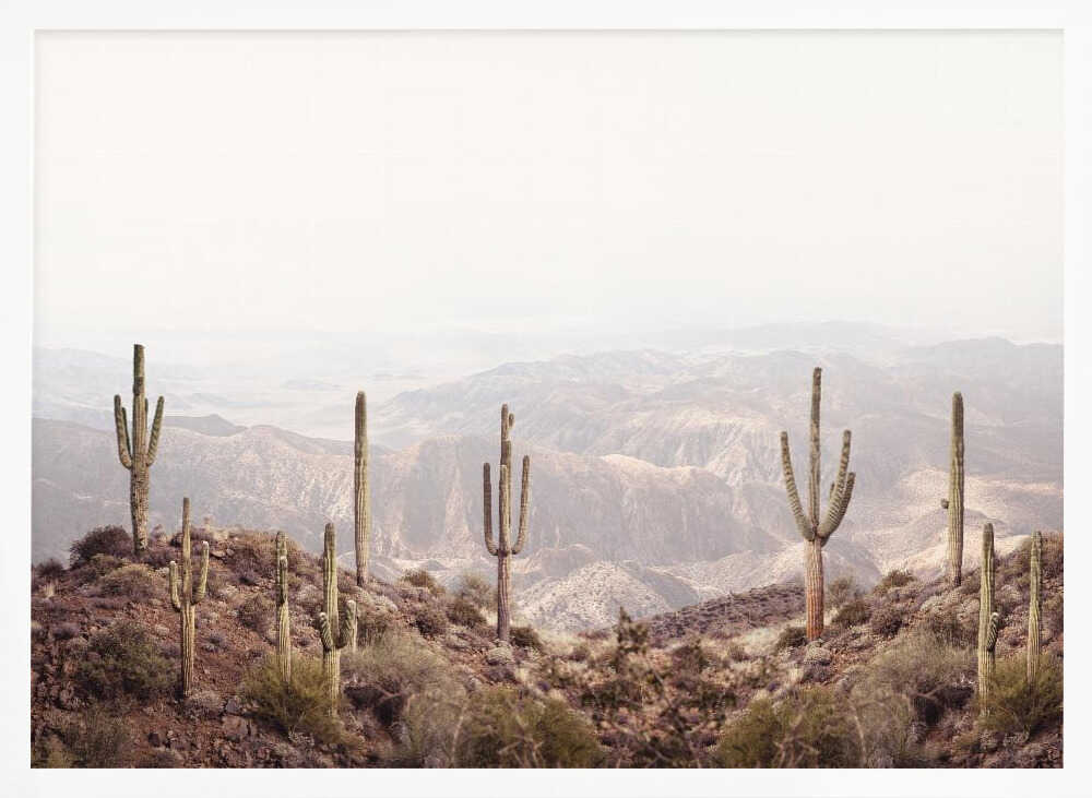 Arizona Valley Poster