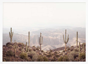Arizona Valley Poster