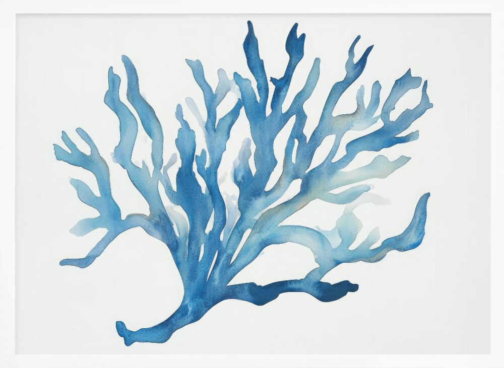Blue Coral Poster