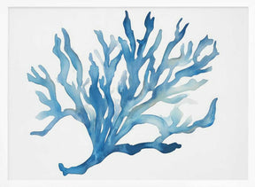 Blue Coral Poster