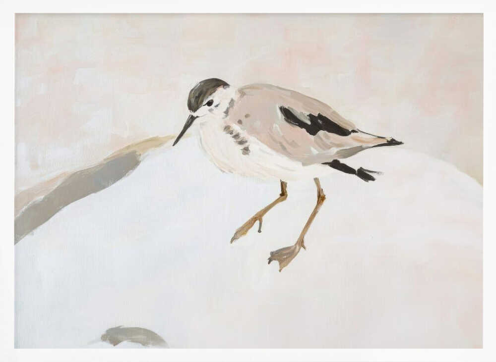 Cute Shorebird Poster