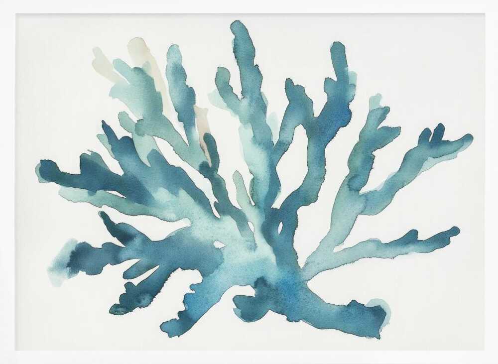 Turqoiuse Coral Poster