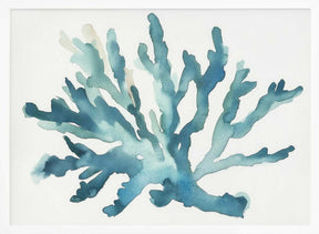 Turqoiuse Coral Poster
