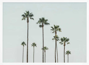 Cali Palms Poster