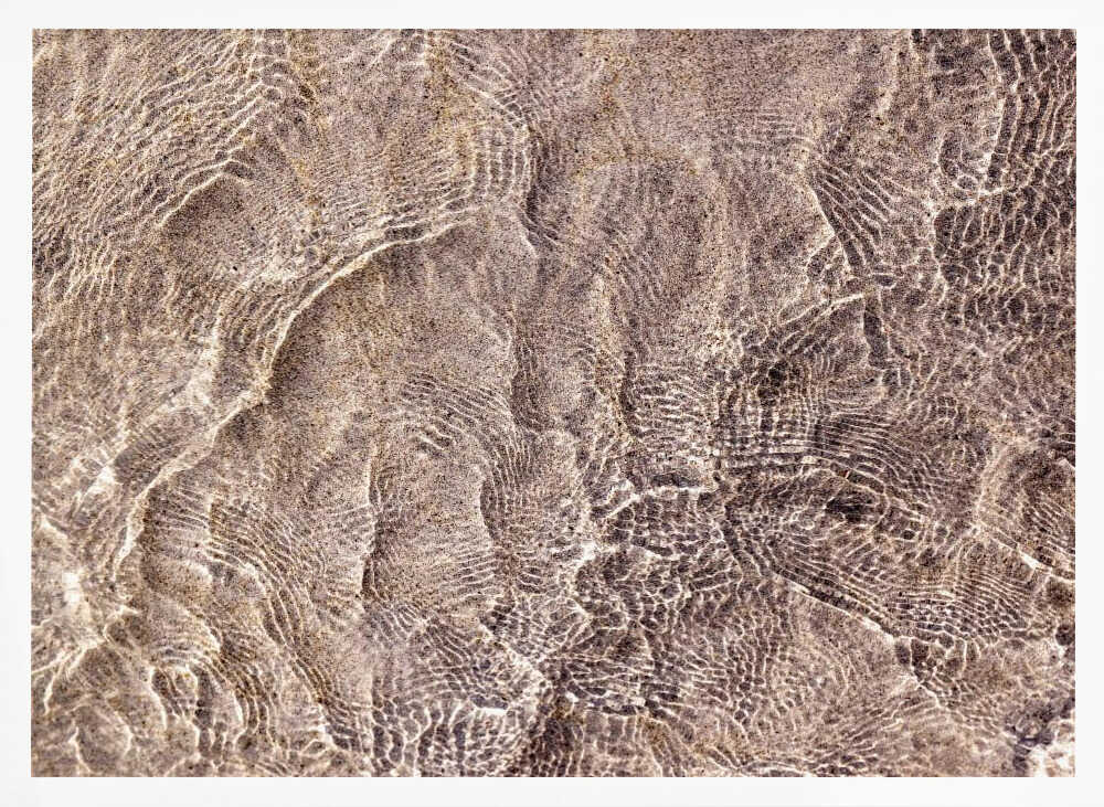 Water and Reflections Poster