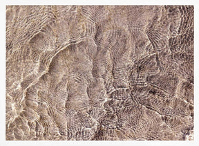 Water and Reflections Poster