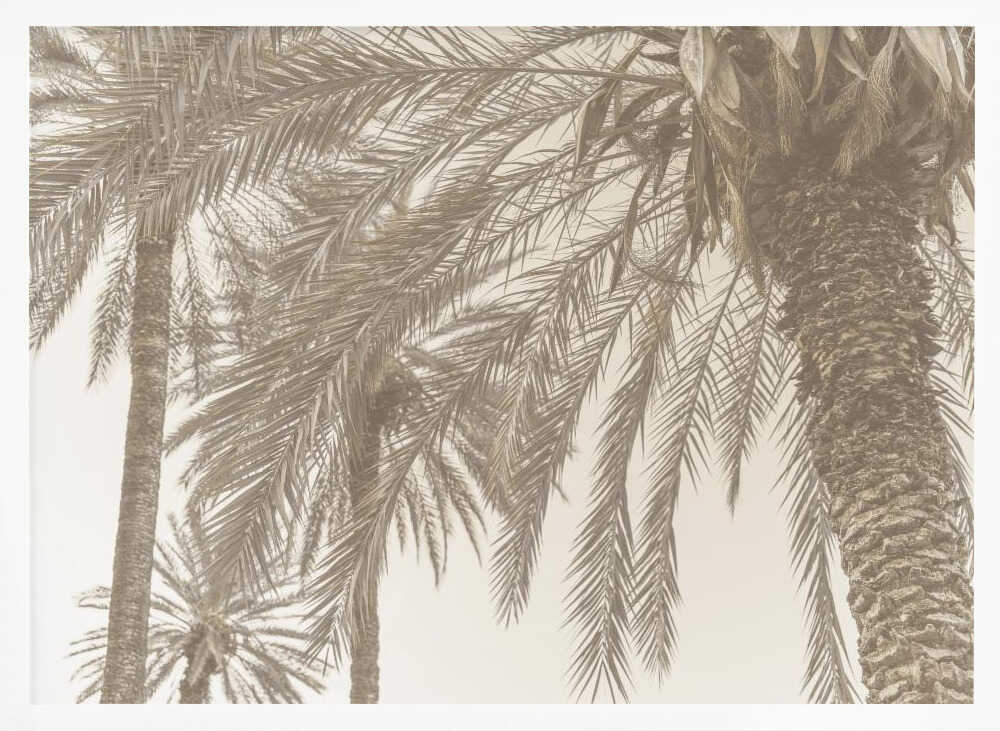 Sicilian Memories 12 Poster