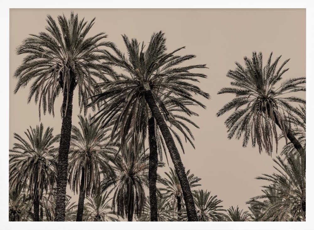 Sicilian Memories 15 Poster