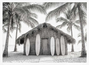 Beach Hutbw Poster