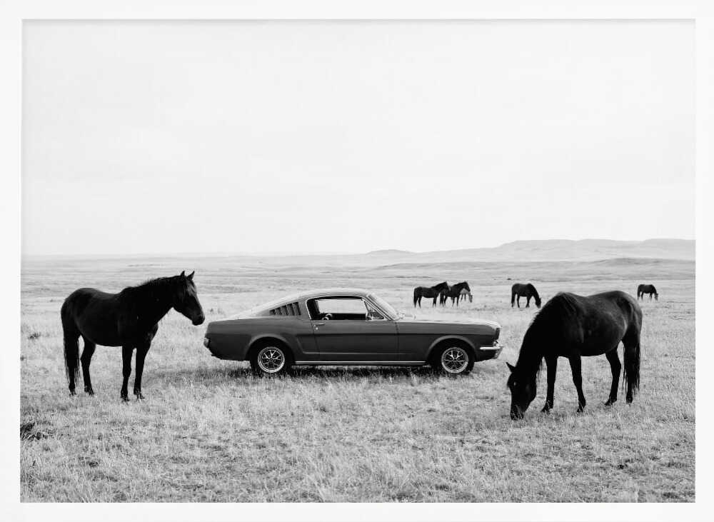 Wild Plains BW Poster