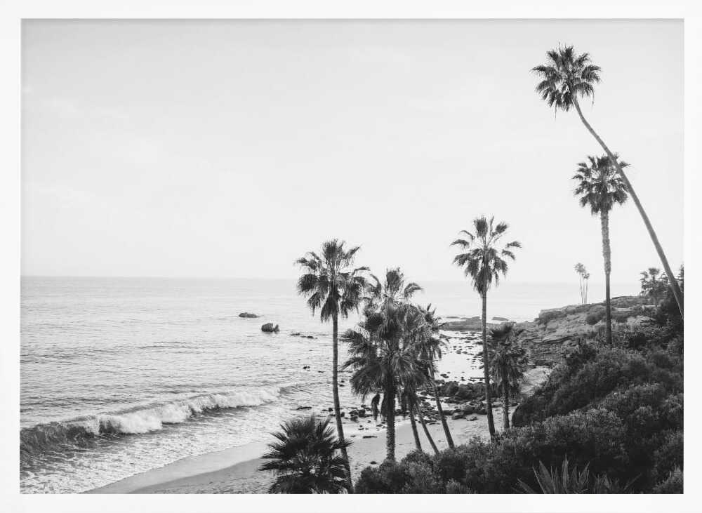 Lagunabw Poster