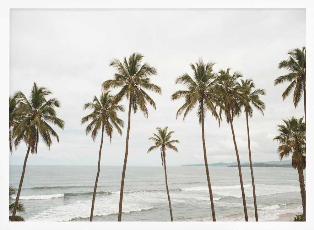 Palm Paradise Poster