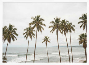 Palm Paradise Poster