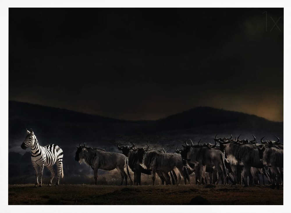 an evening in Kenya Poster